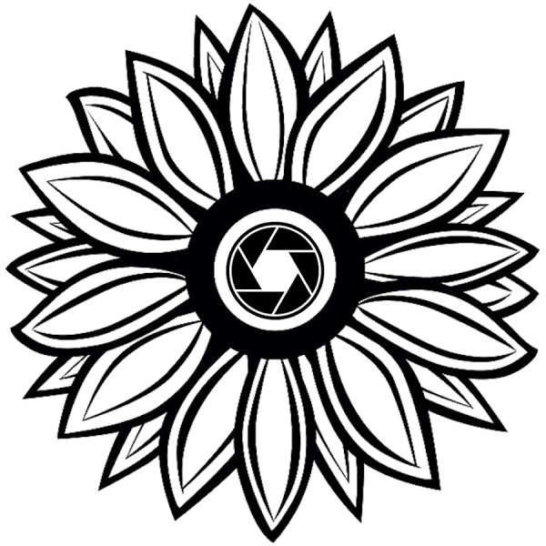 Подсолнух вектор