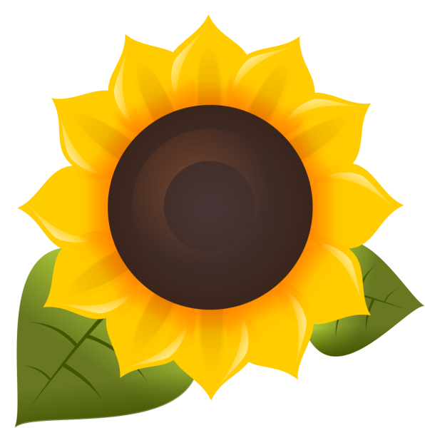 Подсолнух вектор