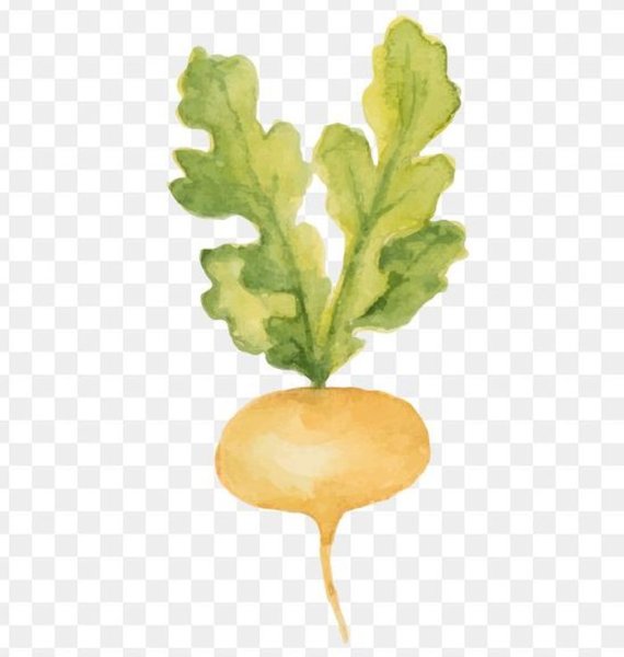 Листики Репки