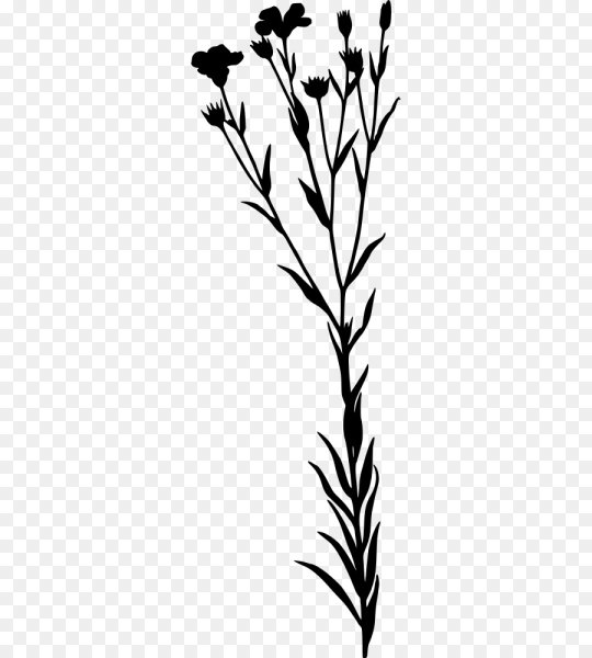 Полевые травы силуэт