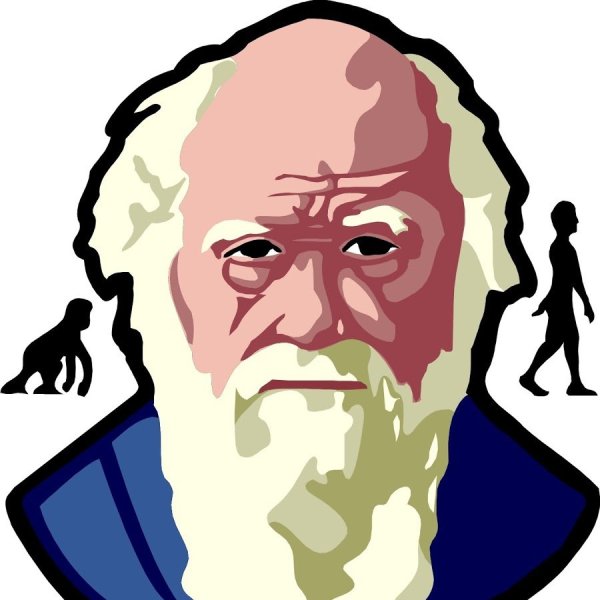 Чарльз Дарвин Мем