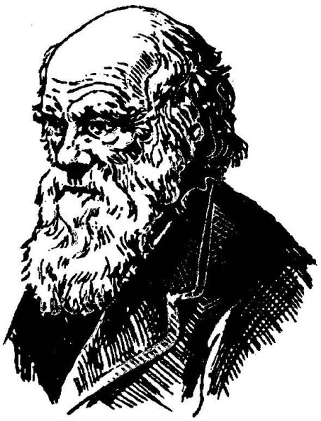 Чарльз Дарвин в профиль