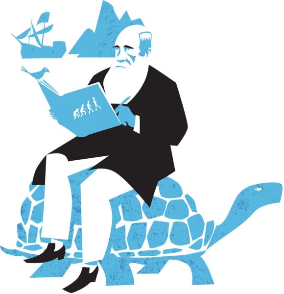 Дарвин Векторная Графика