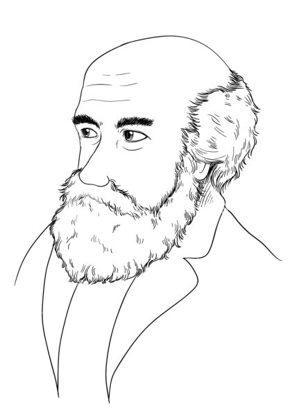 Чарльз Дарвин рисунок