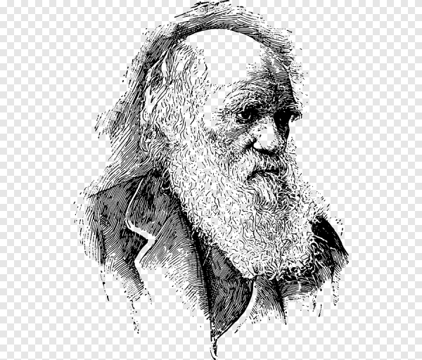 Чарльз Дарвин рисунок