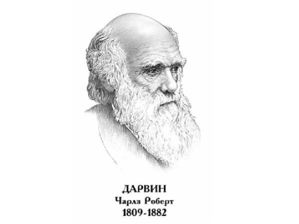 Чарльз Дарвин портрет с подписью