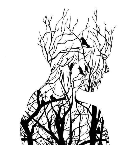 Стилизованные силуэты деревьев