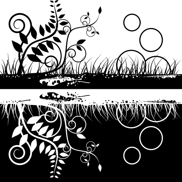 Векторная Графика черно белая