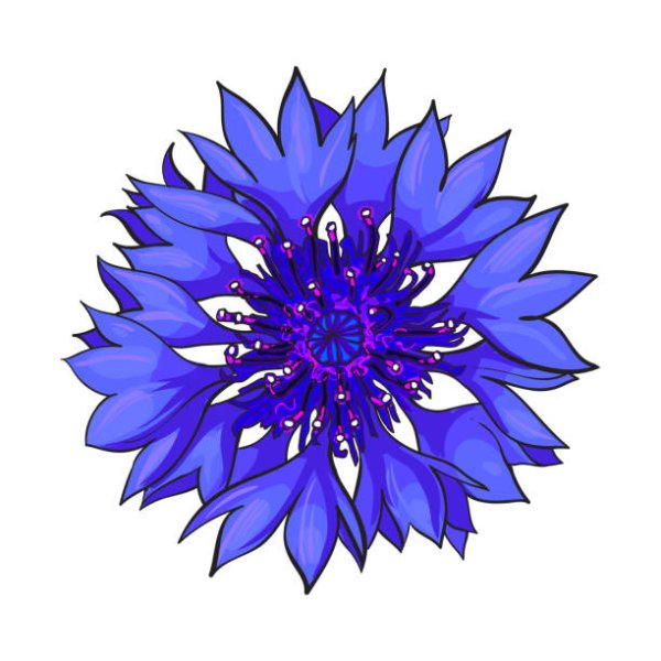 Васильки для вырезания цветные