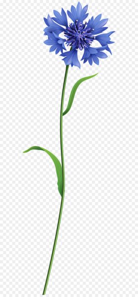 Стилизованные васильки