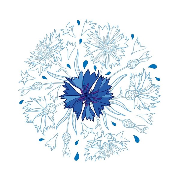 Василек акварель