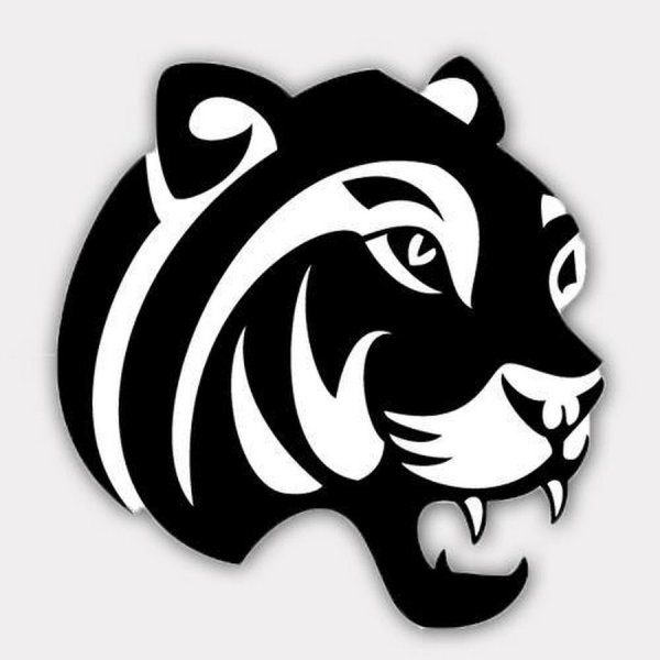 Стилизованное изображение тигра