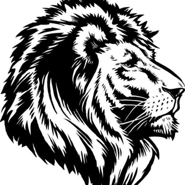 Лев векторное изображение