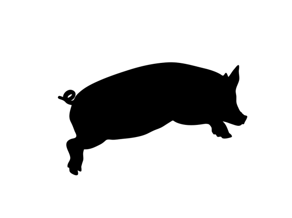 Силуэт кабана