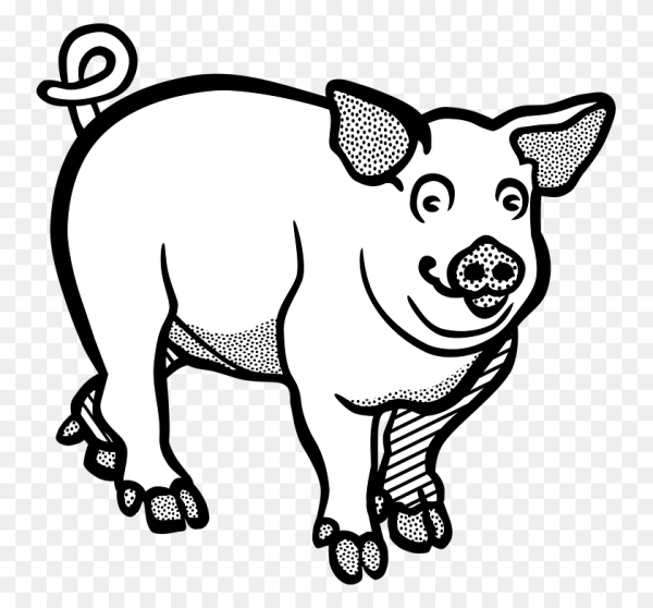 Свинья рисунок