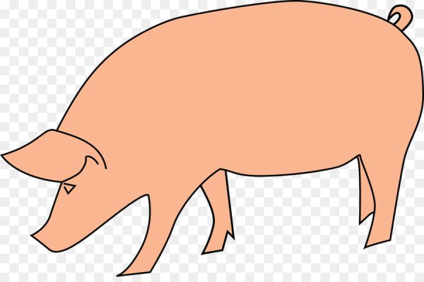 Свинья схематично