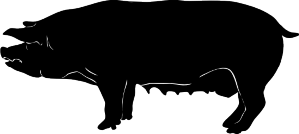 Силуэты животных свинья