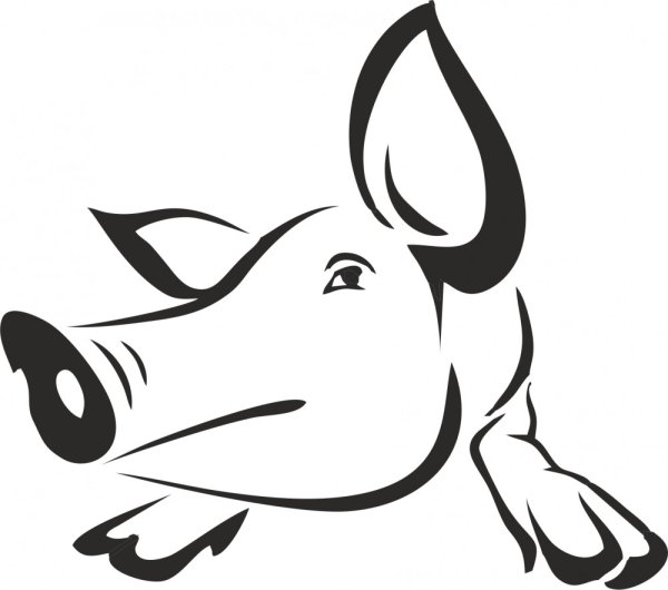 Свинья стилизация