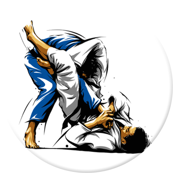 Борьба дзюдо джиу-джитсу бросок