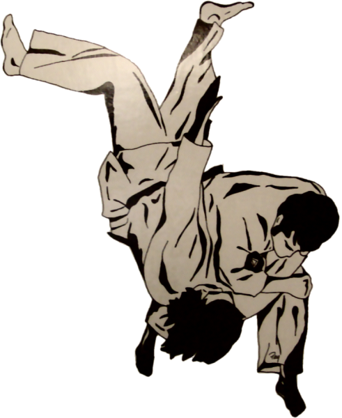 Картины дзюдо