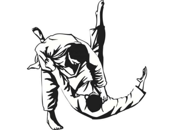 Джиу джитсу вектор