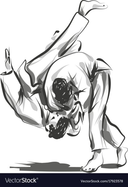 Дзюдо Графика