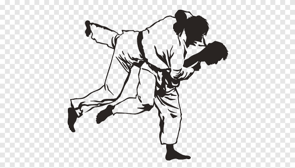 Дзюдо вектор чб