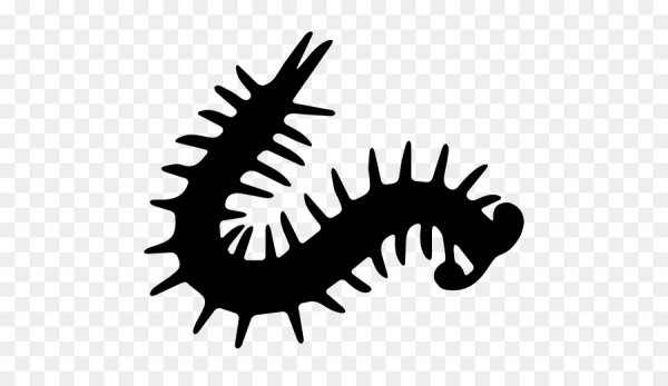 Многоножка векторный рисунок