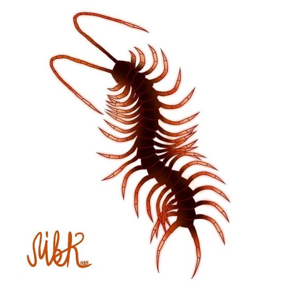 Сколопендра символ