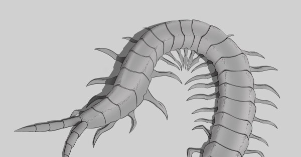 Сколопендра карандашом