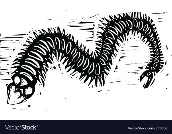 Сороконожка трафарет