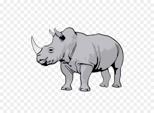 Носорог для детей