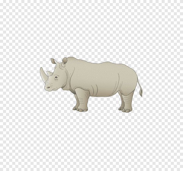 Белый носорог вектор