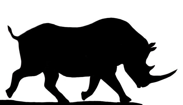 Тень носорога