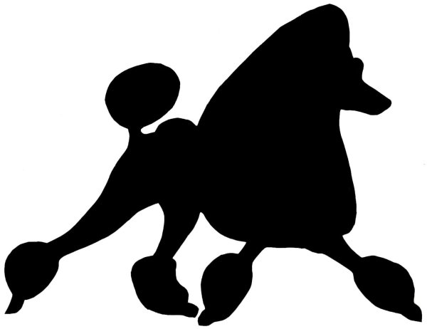 Очертания пуделя