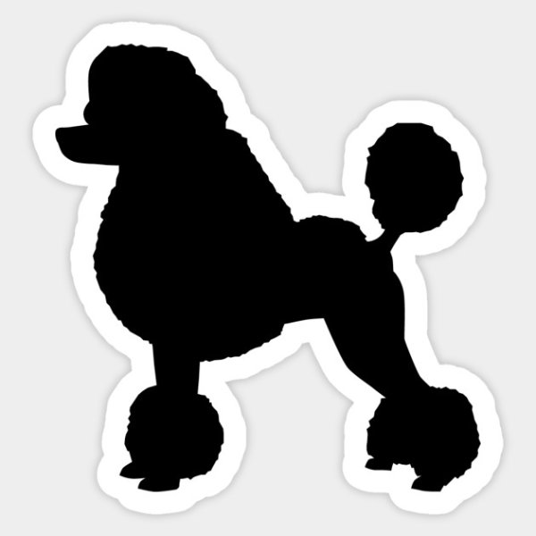 Наклейка пудель