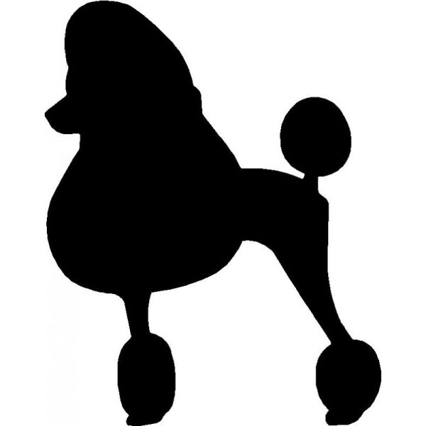 Силуэт пуделя