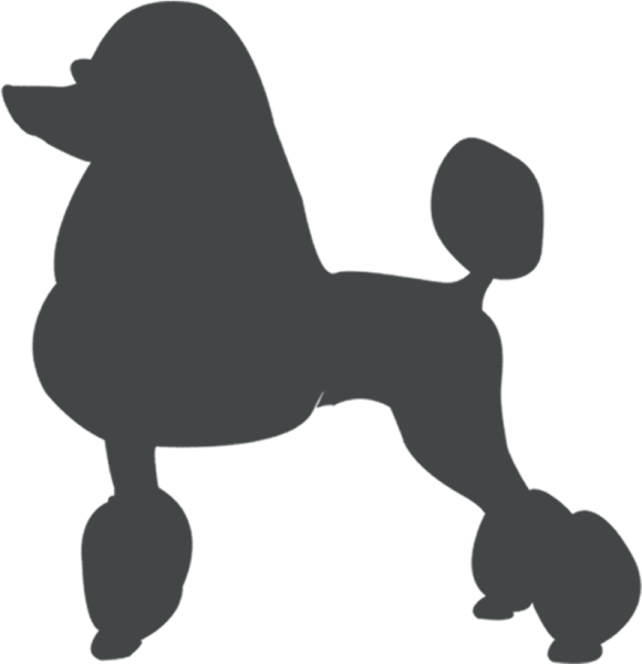 Собака контур пудель