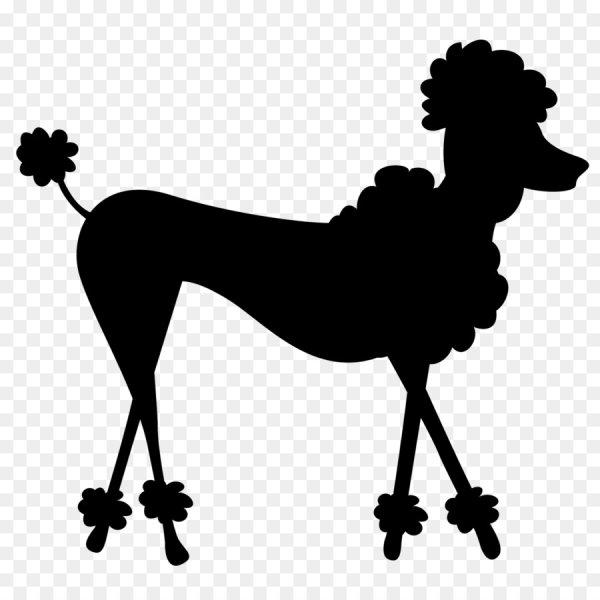 Трафарет пуделя