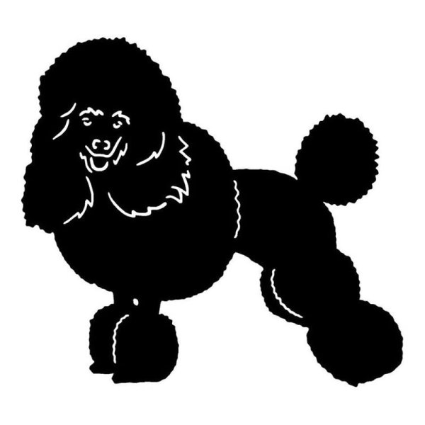 Пудель в профиль