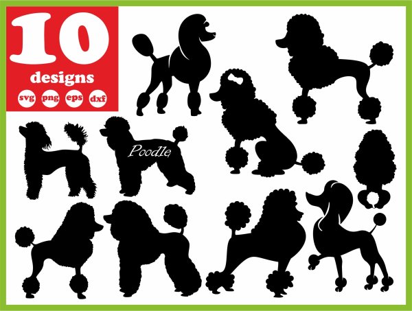 Пудель силуэт вектор