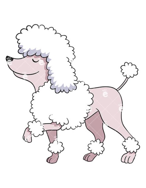 Пудель в мультяшном стиле