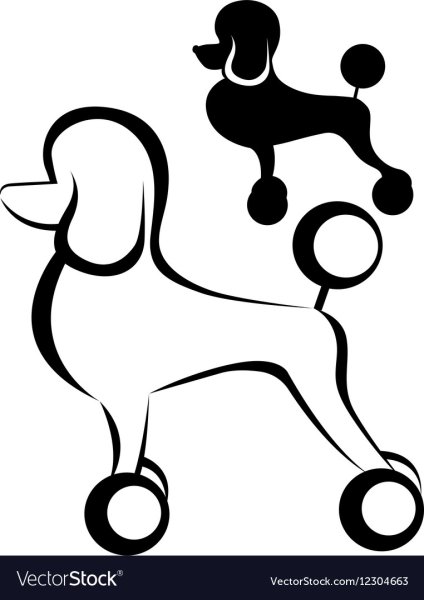 Силуэт собаки пудель