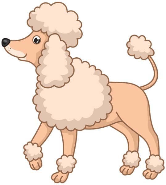 Пудель для дошкольников