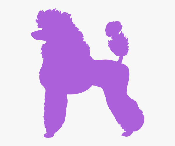 Силуэт собаки пудель