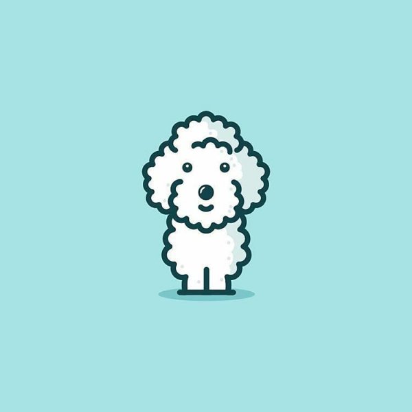 Пудель логотип