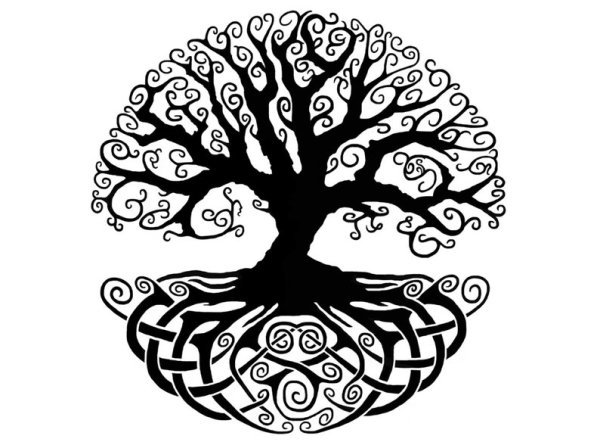 Celtic Tree of Life вектор