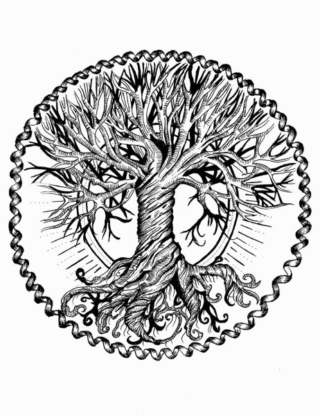 Древнеславянские символ дерево жизни