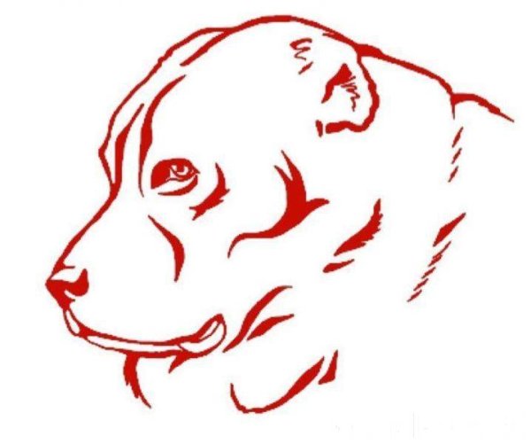 Морда алабая