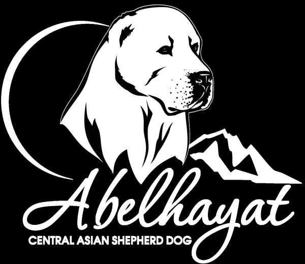 Алабай собака